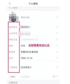 小紅書引流