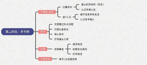 步玩轉抖音藍v號"