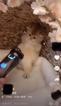 再來一份抖音冷啟動做號養號經驗！ 微商引流 小視頻 抖音 經驗心得 第9張