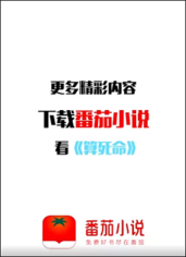 番茄小說