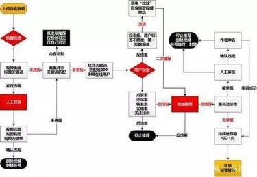 抖音新手養號指南及技巧！