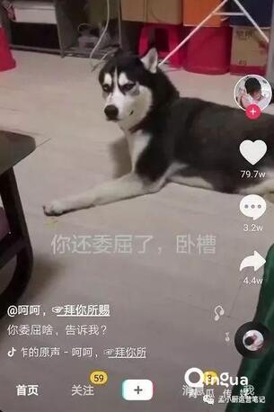 怎么做抖音？抖音6種運營推廣技巧！